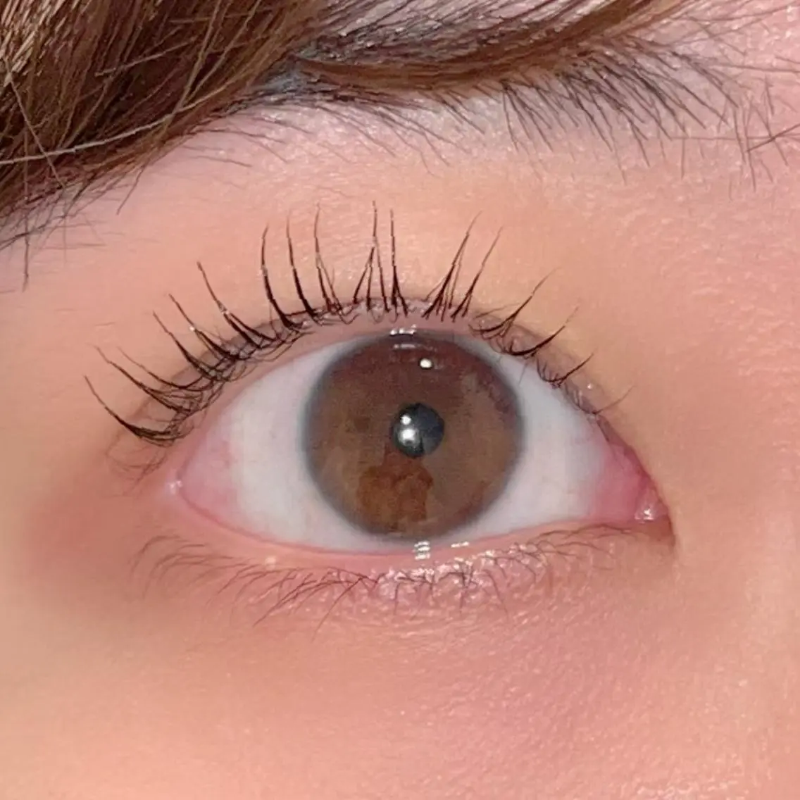 マツエク・マツパ パリジェンヌラッシュリフト まつげパーマ ai一重専門🎀束感 まつげ🫧表参道の眉毛・アイブロウイメージ