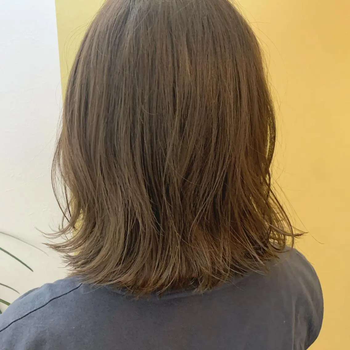 ショート カラー アッシュ ベージュカラー ブリーチ 透明感カラー ブリーチなしカラー hubhair レイヤー/透明感のヘアスタイル