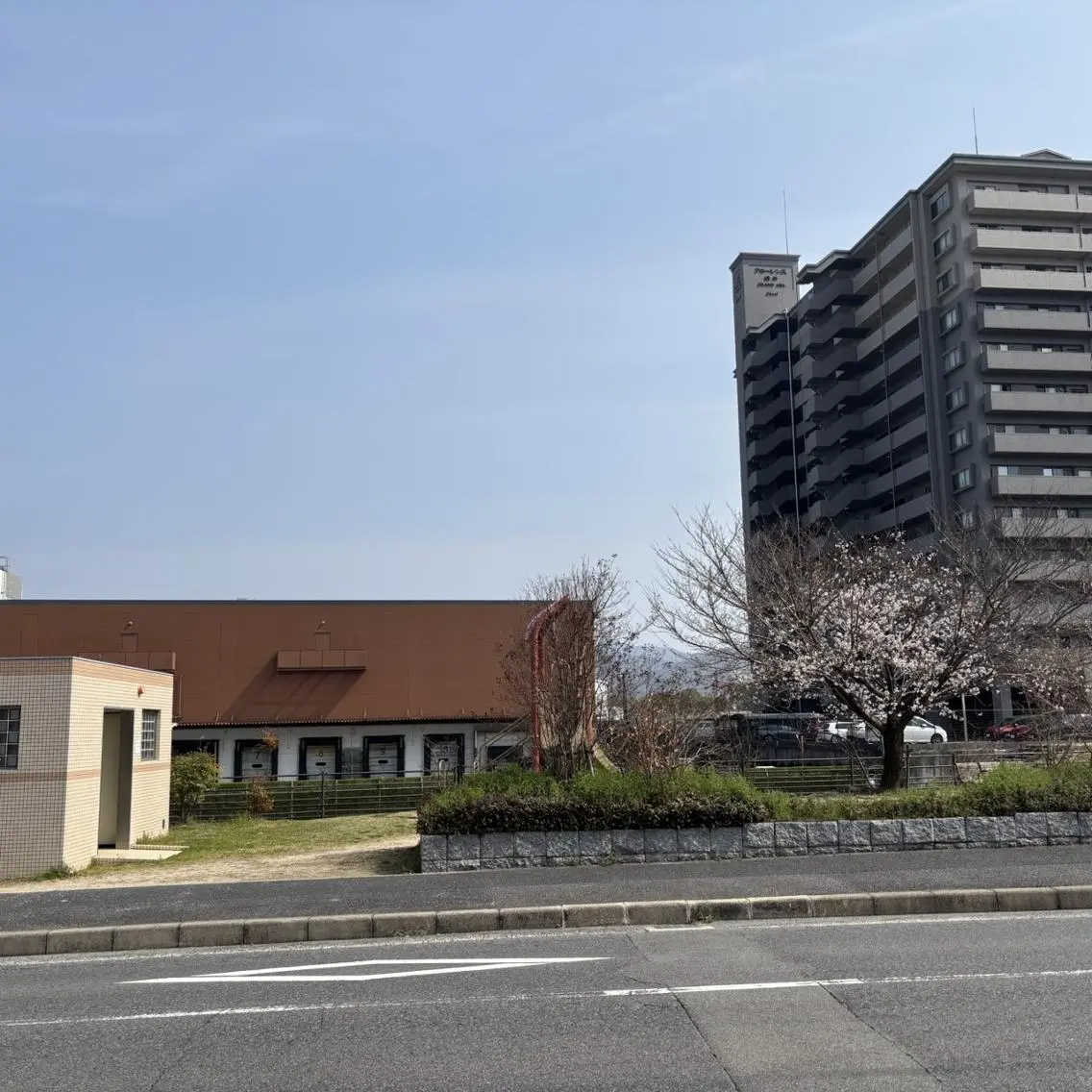 ワックス脱毛 眉カット その他(アイブロウ) 鈴木 愛花のエステ・リラクイメージ