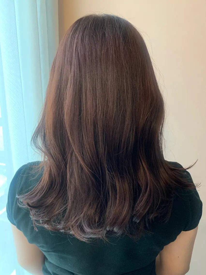 ロング カラー ブラウンカラー レッドカラー レッドブラウン hubhair レイヤー/透明感のヘアスタイル