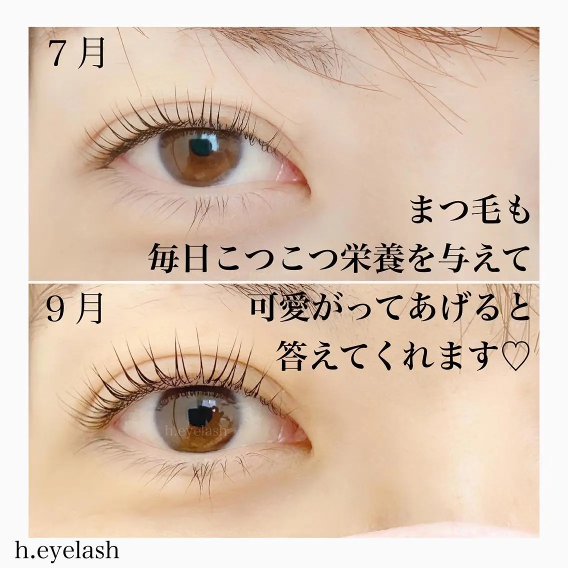 マツエク・マツパ マツパ h..eyelash ..Hiroのマツエク・マツパデザイン