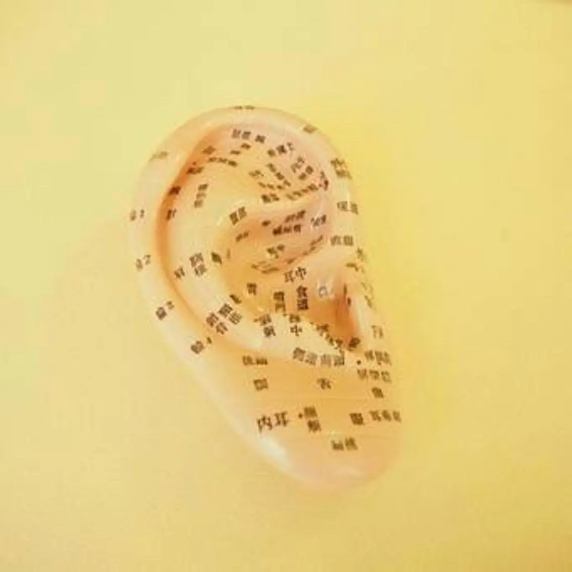 耳ツボ痩身ダイエットの写真