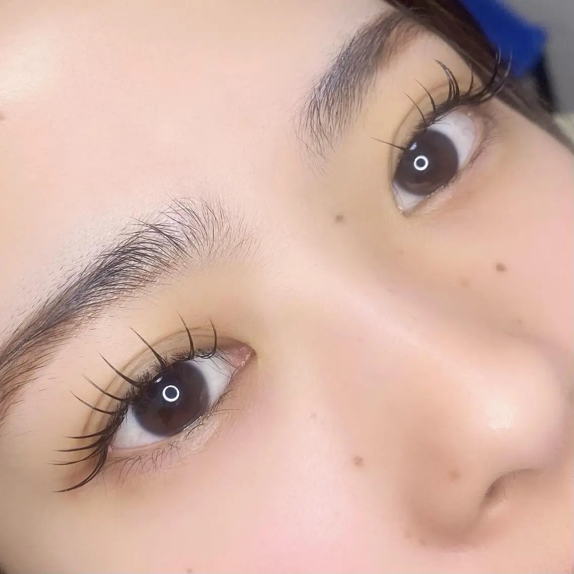 マツエク・マツパ フラットラッシュ パリジェンヌラッシュリフト まつげパーマ ボリュームラッシュ KURUMI🦋 まつエクまつパ美眉の眉毛・アイブロウイメージ