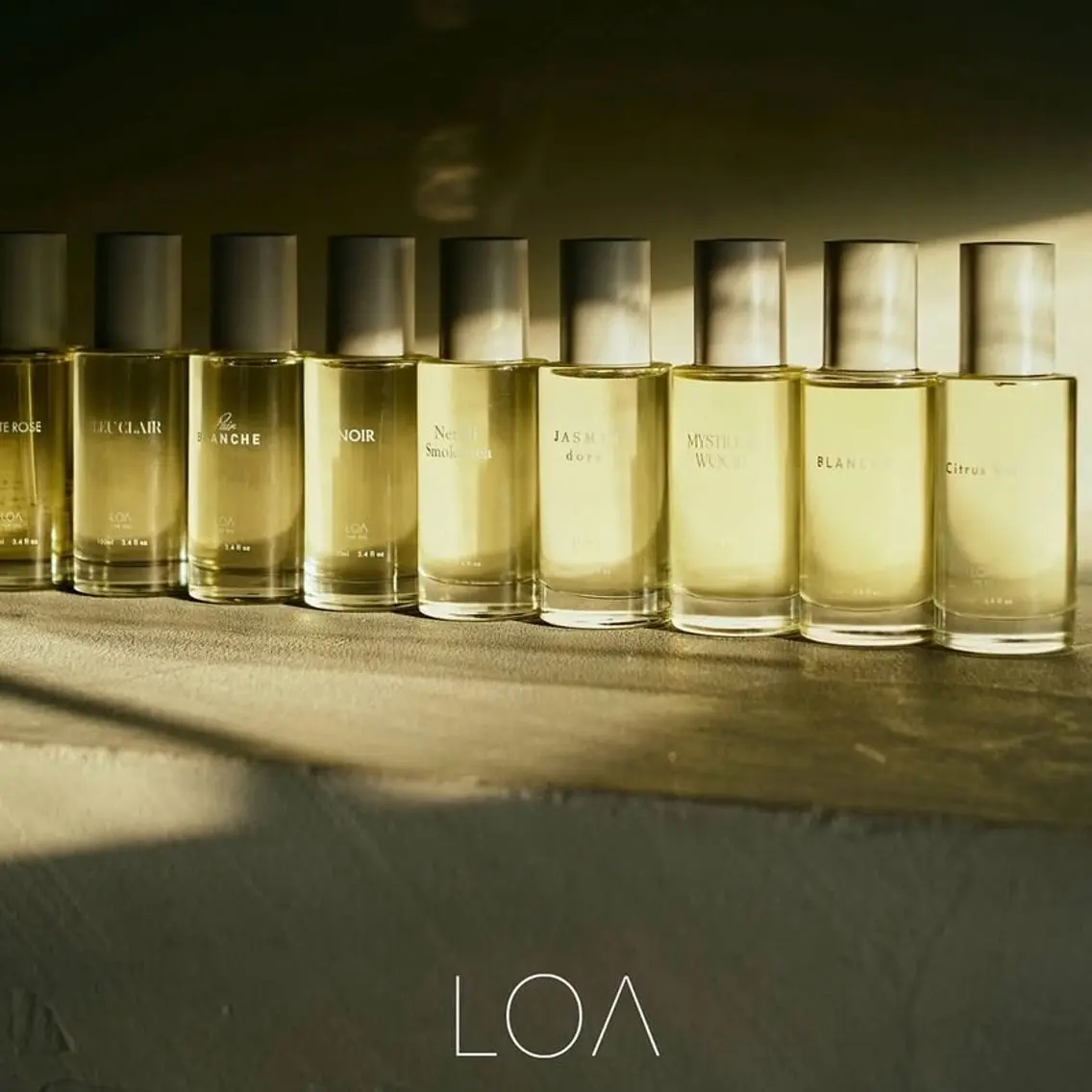 🌿 カット+LOA THE OILプレゼント🎁の写真