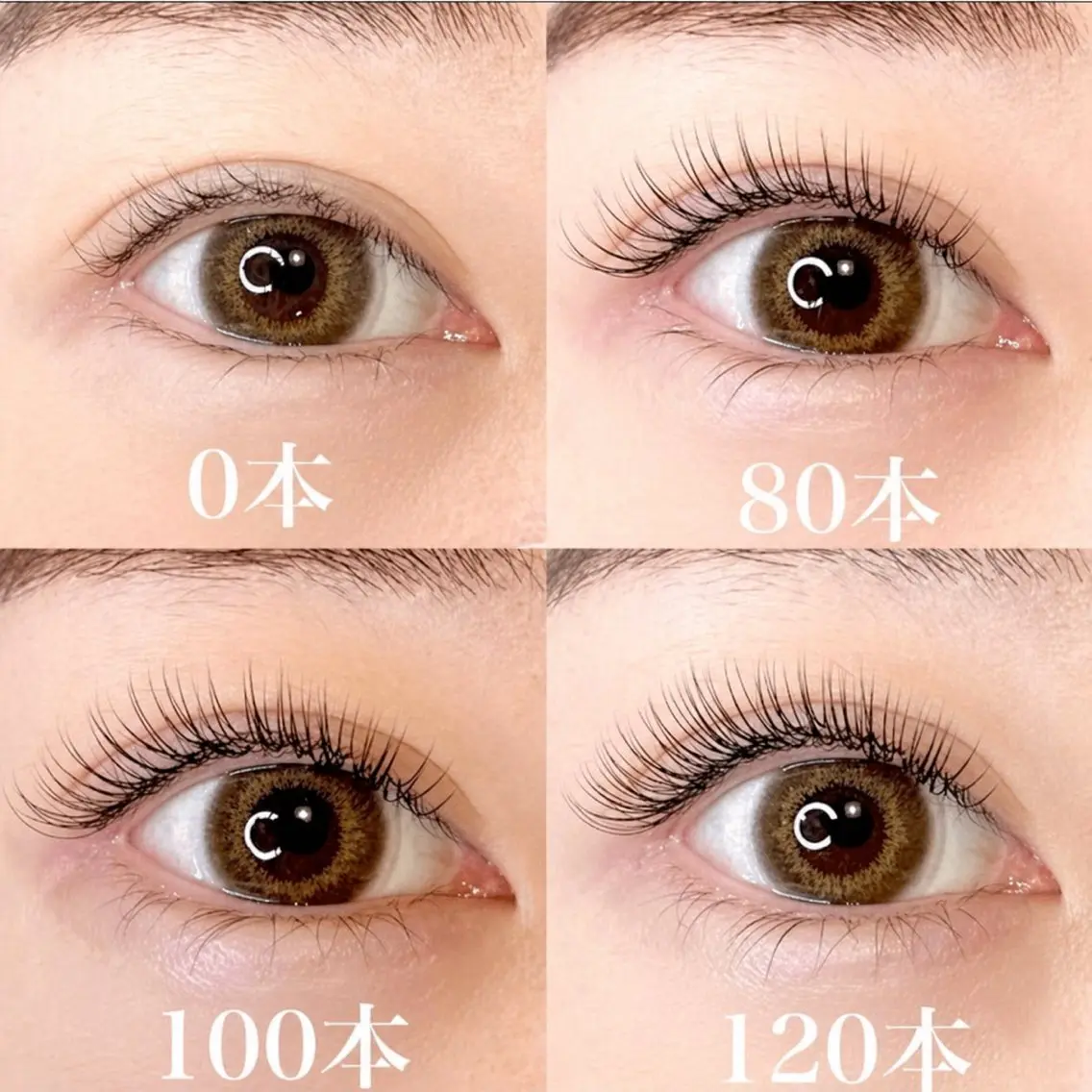 【練習モデル限定】フラットラッシュ100本(オフ込み)の写真