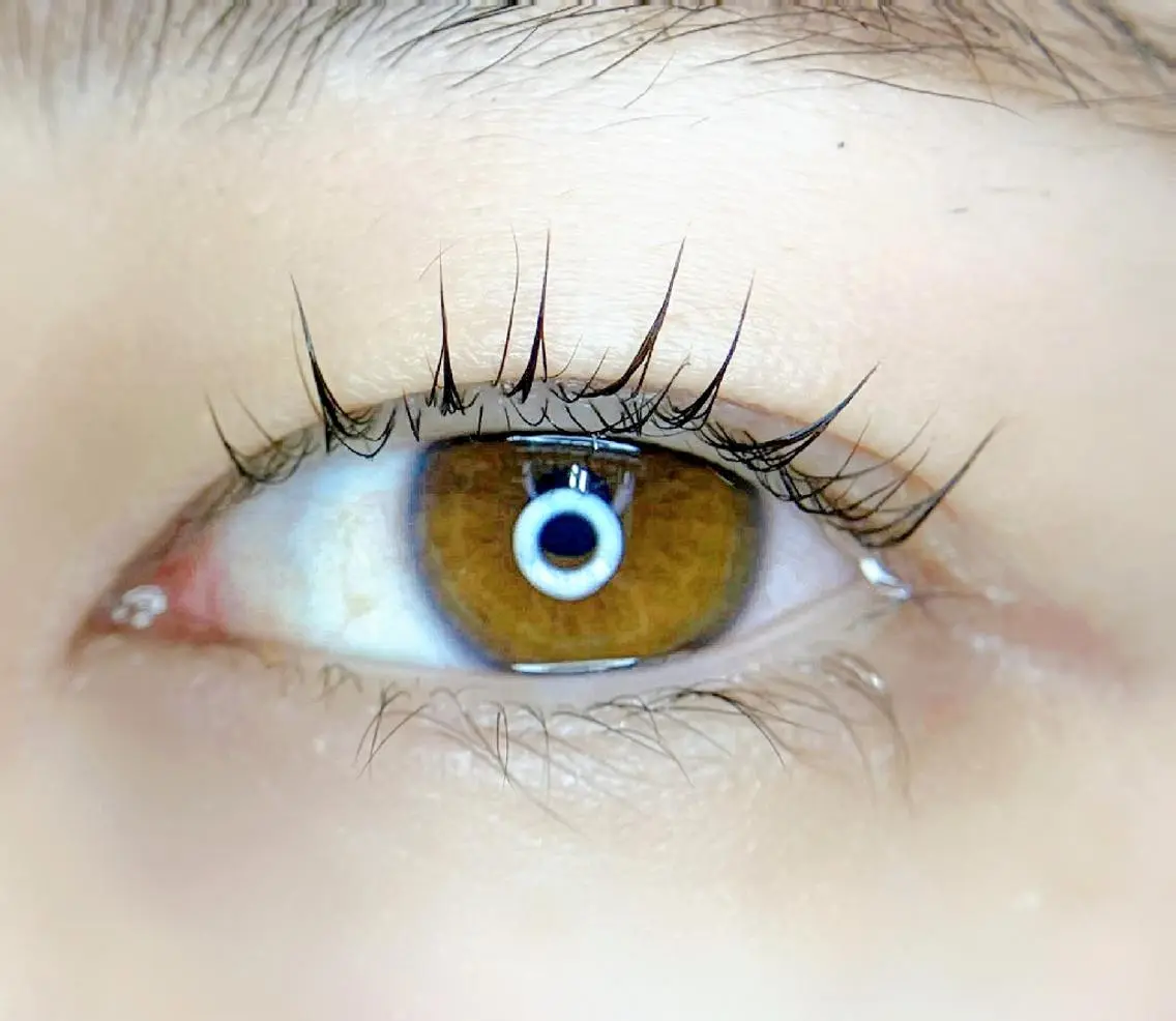 【新規様】目👀✨タイプ似合わせまつ毛パーマの写真