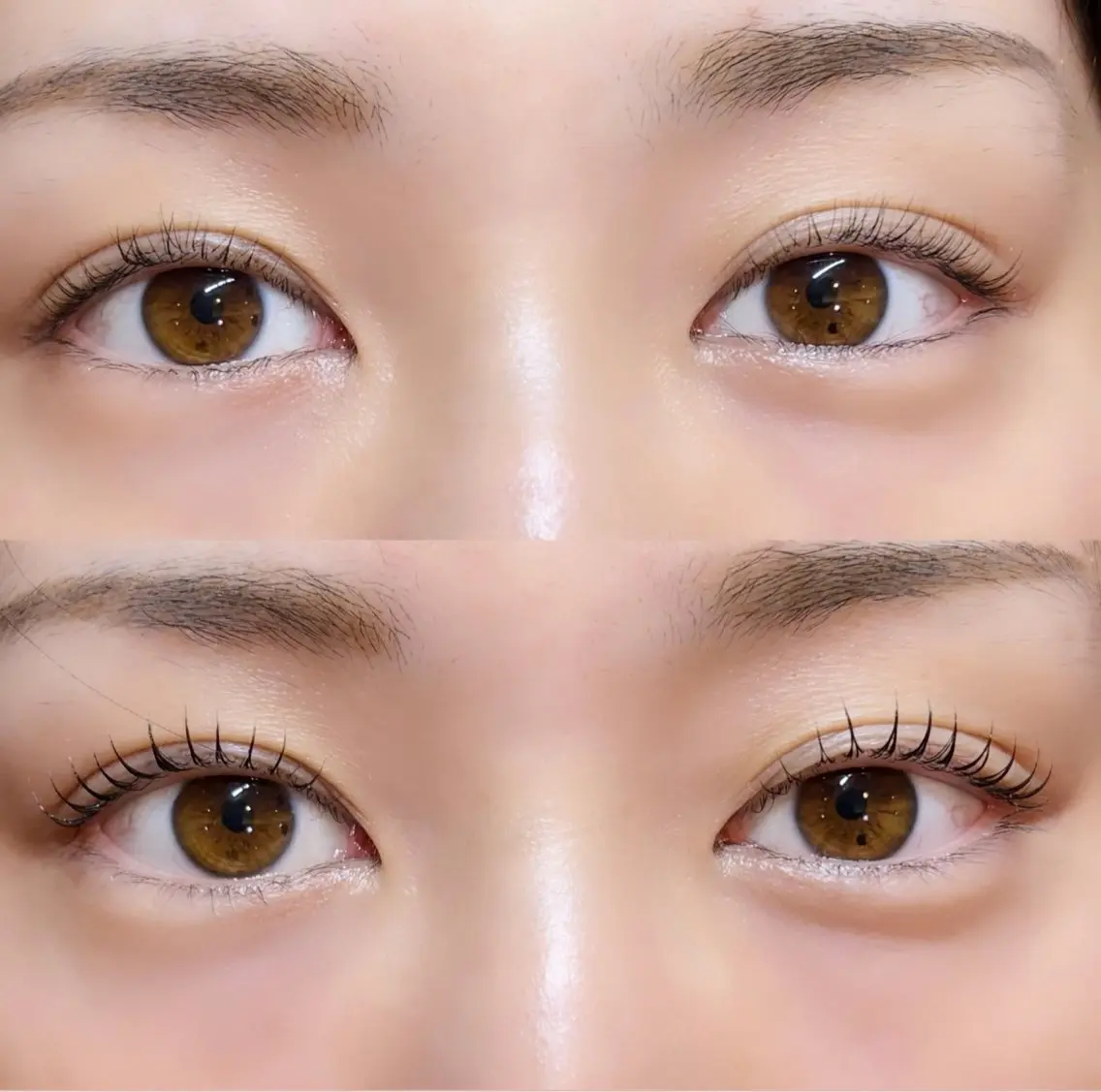マツエク・マツパ マツパ eyelash ★篠崎 蘭★の眉毛・アイブロウイメージ