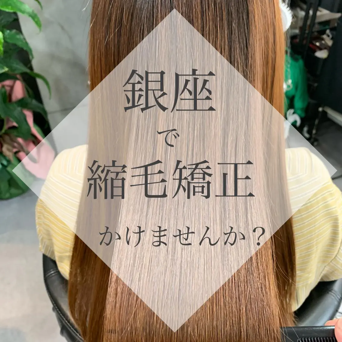 ロング ディレクター鮫島 俊介のヘアスタイル
