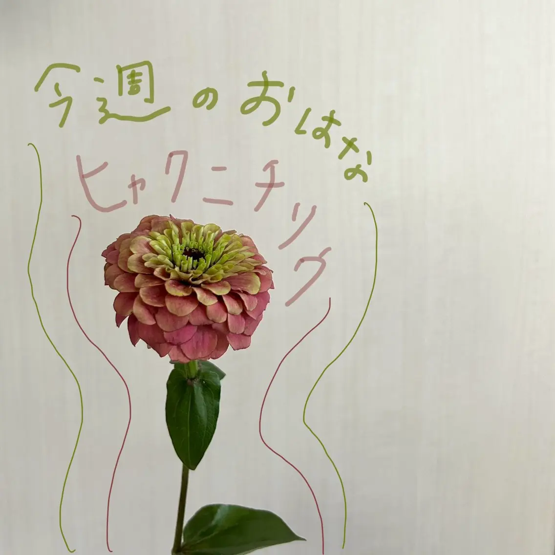 吉祥寺kasumi 🌛eye/browのマツエク・マツパデザイン