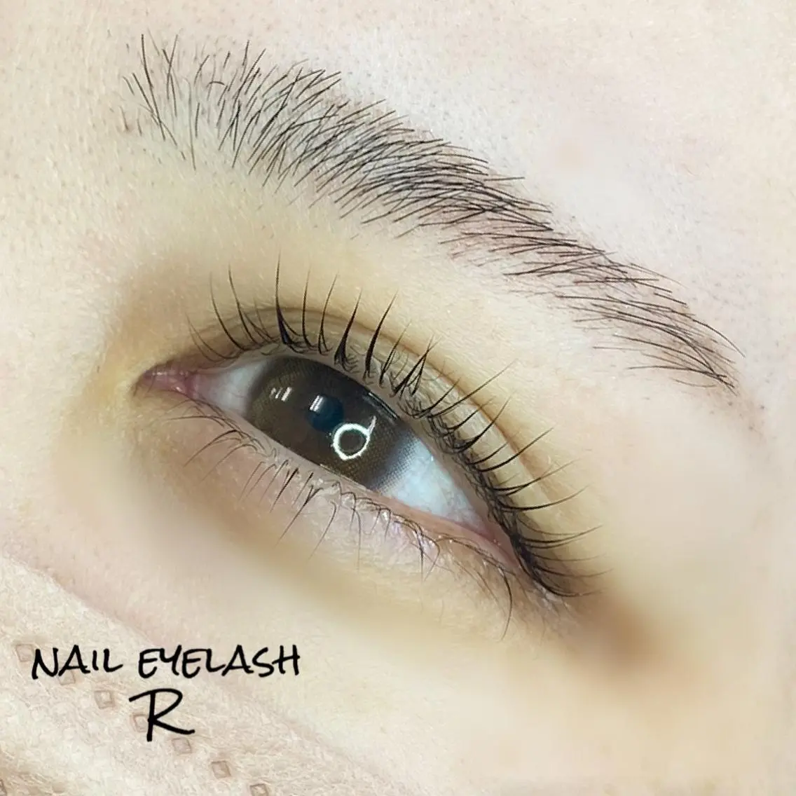 マツエク・マツパ ナチュラル マツパ eyelash R𓇼eri🐈️の眉毛・アイブロウイメージ