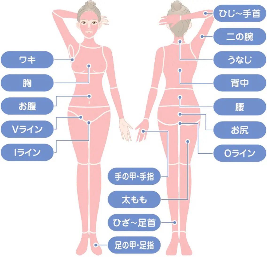 【初回お試し】レディース全身脱毛・お顔/VIO込みの写真