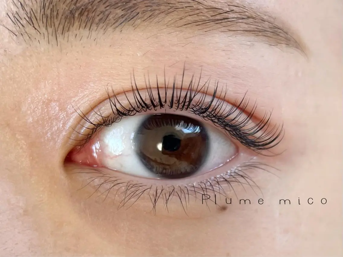 マツエク・マツパ マツパ Plume micoのマツエク・マツパデザイン