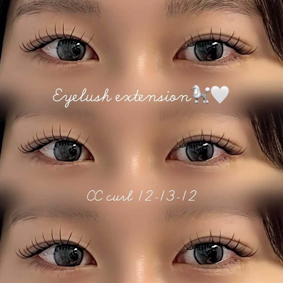 フラットラッシュ120本🪶(オフなし)の写真
