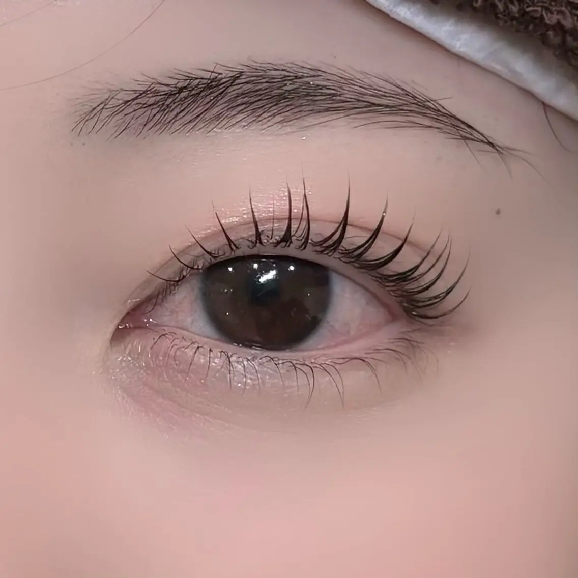 マツエク・マツパ パリジェンヌラッシュリフト マツパ salon Dahliaくるみのマツエク・マツパデザイン