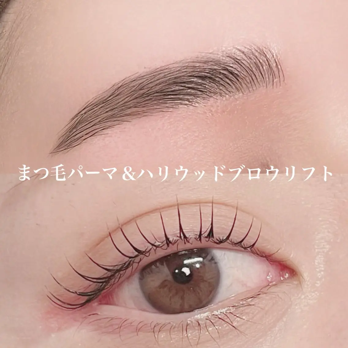 まつげパーマ＋ハリウッドブロウリフト（アイブロウ）✨メンズも大歓迎🤝の写真
