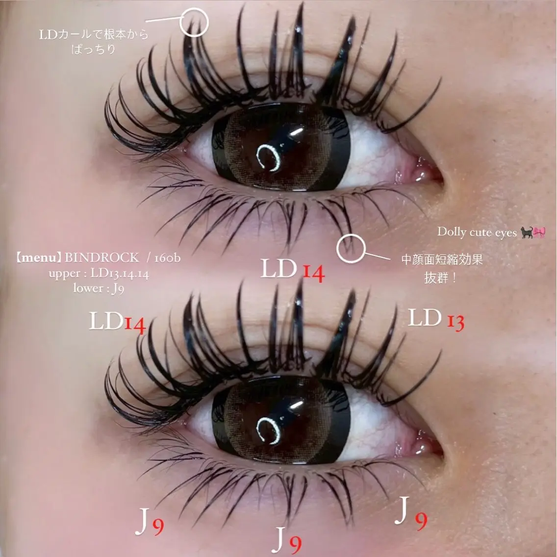 マツエク・マツパ 付け放題 バインドロック Dカール eyelash eye:neのマツエク・マツパデザイン