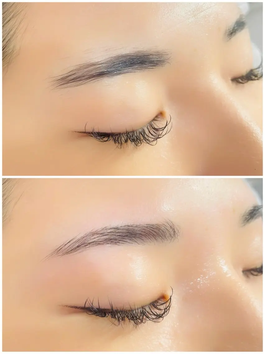ハリウッドブロウリフト（HBL）＋眉WAX付き🍇の写真