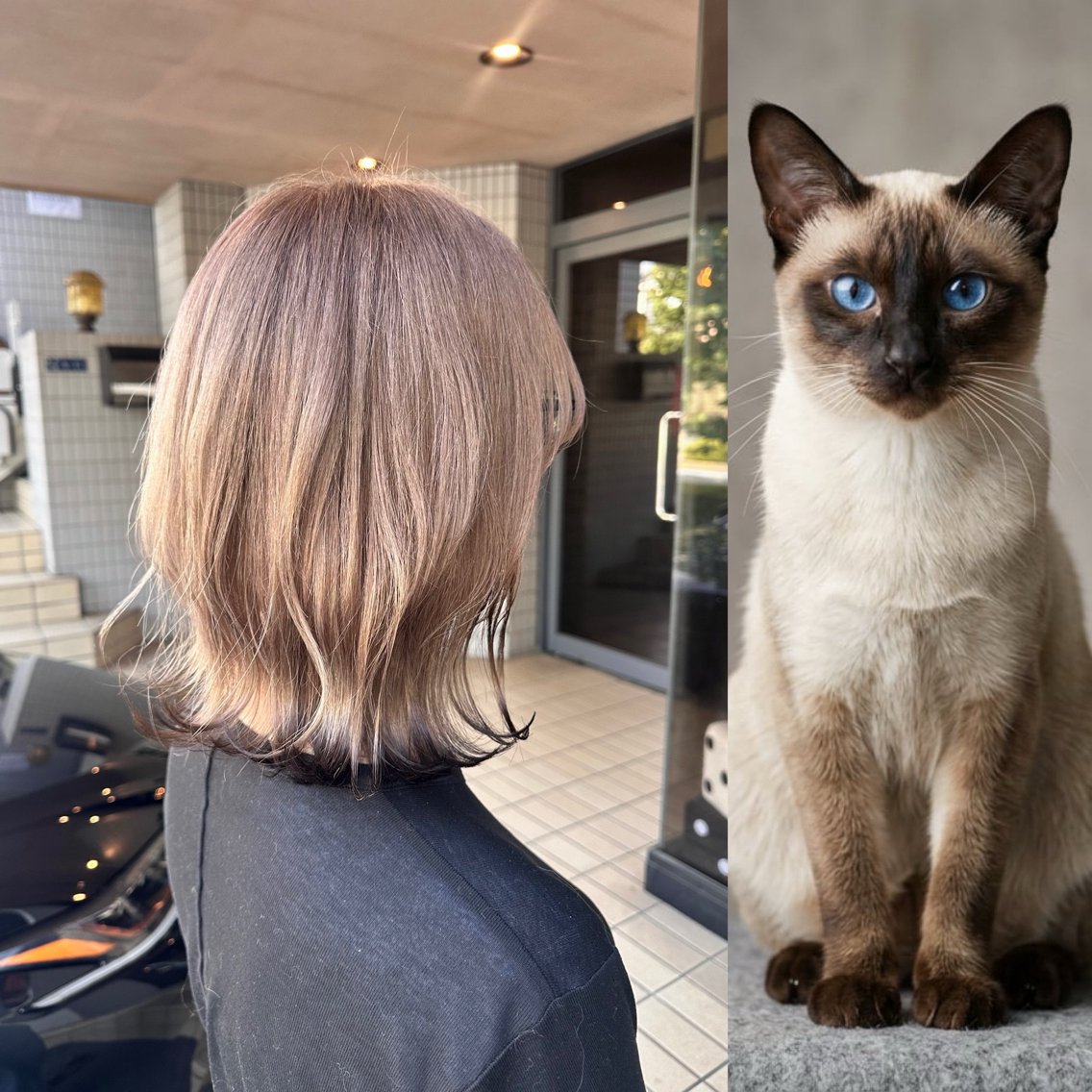 ミディアム タカツド ユウキのヘアスタイル