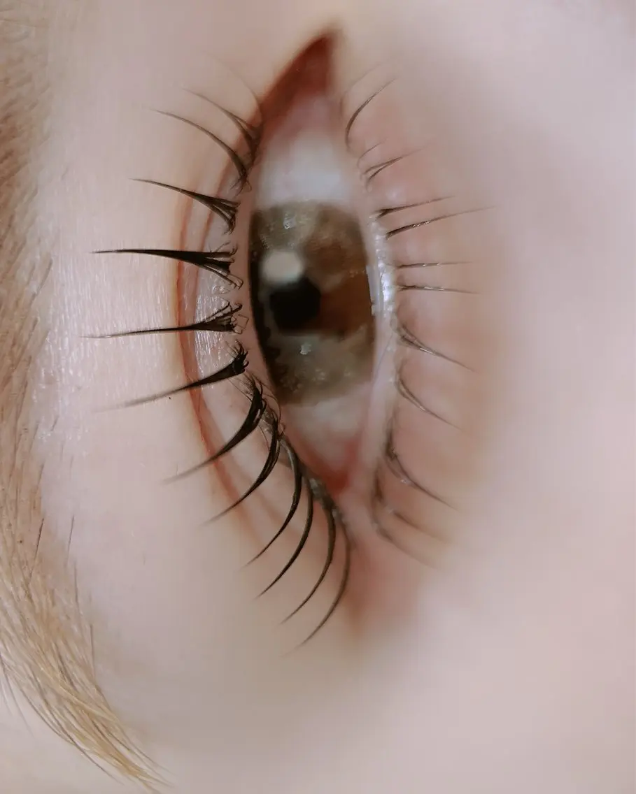 マツエク・マツパ REMIA 上大岡eyelashのマツエク・マツパデザイン