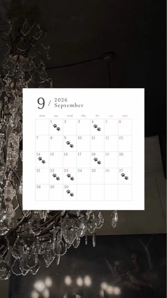ネイル 𝑟𝑖𝑠𝑎 🕯‎🤍のネイルデザイン