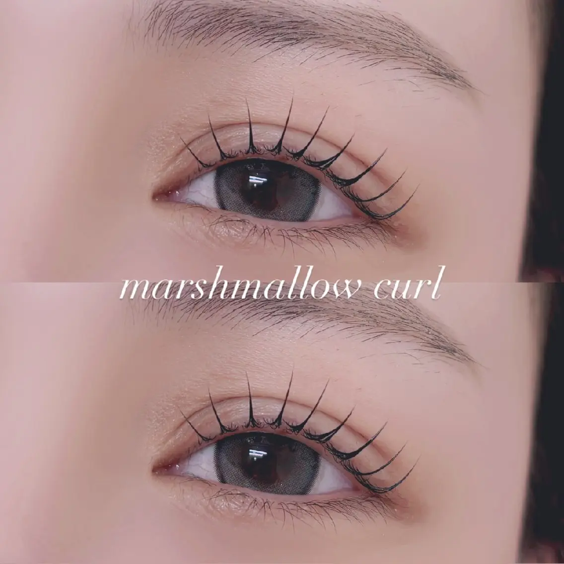 マツエク・マツパ マツパ 🐩Pupu lash🐩のマツエク・マツパデザイン
