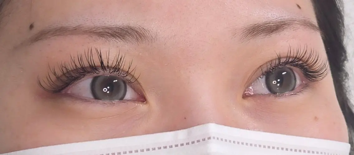 マツエク・マツパ Dカール フラットラッシュ マツエク Vine eyelashのマツエク・マツパデザイン