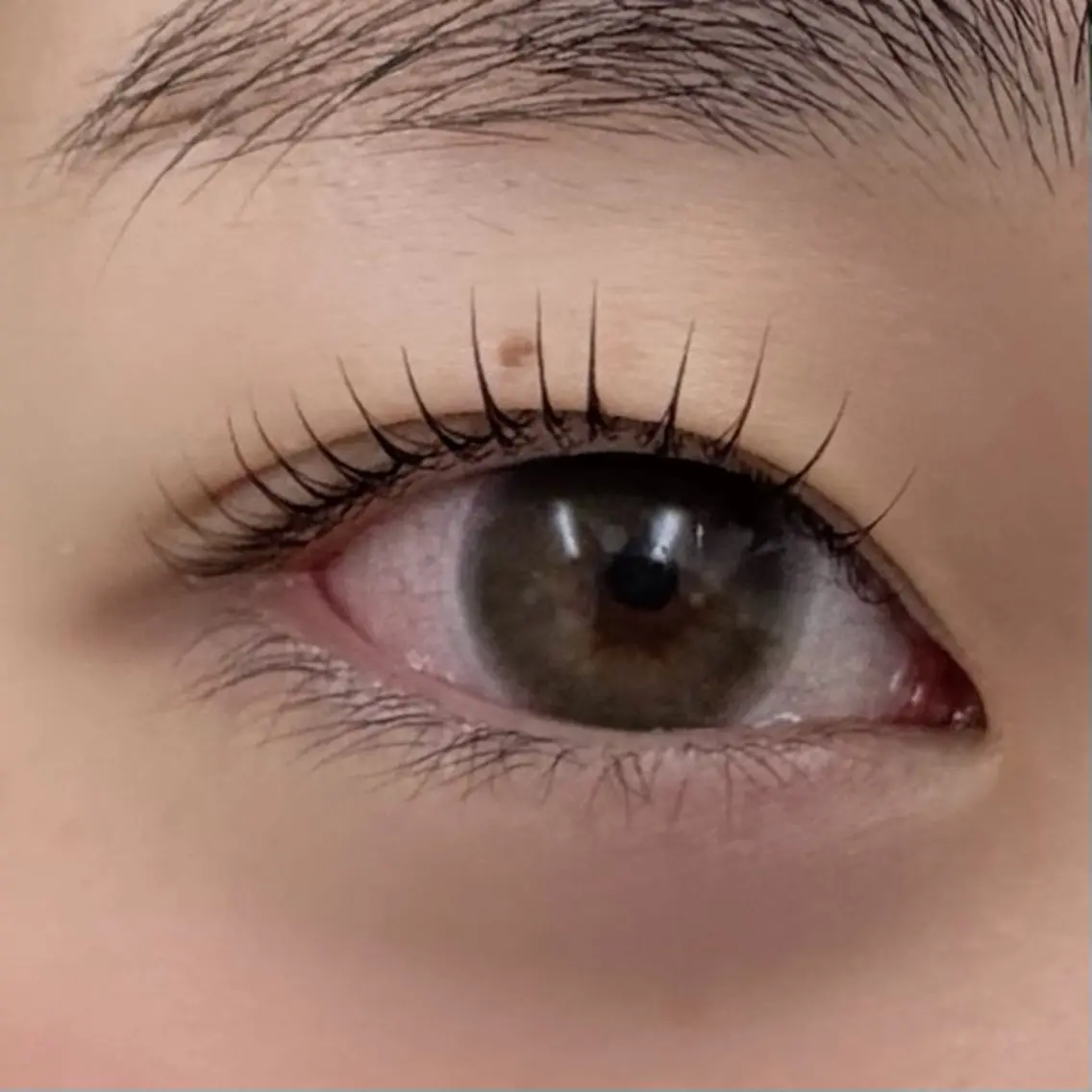 Lash lift🫧の写真