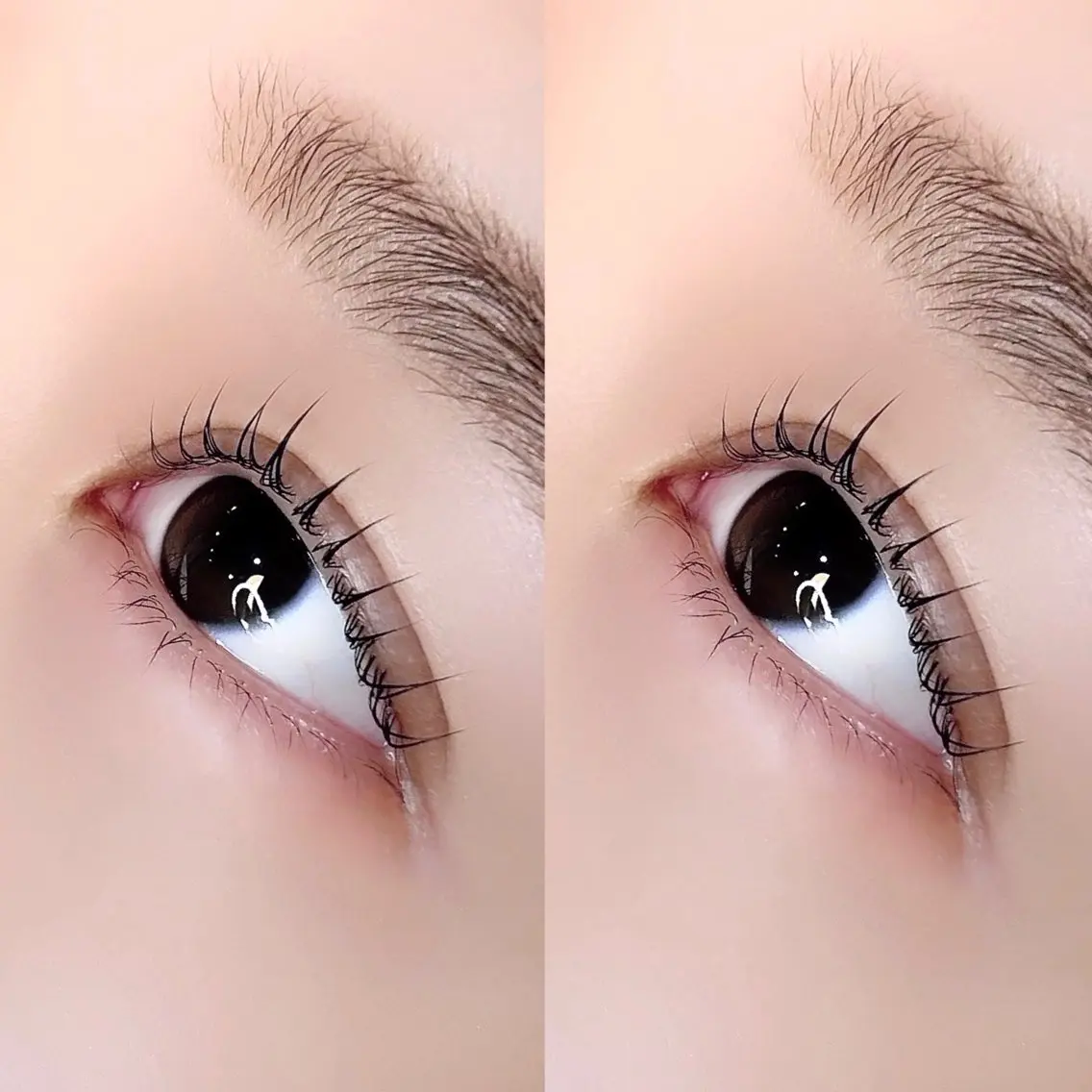 マツエク・マツパ pomure. NaO🦋のマツエク・マツパデザイン