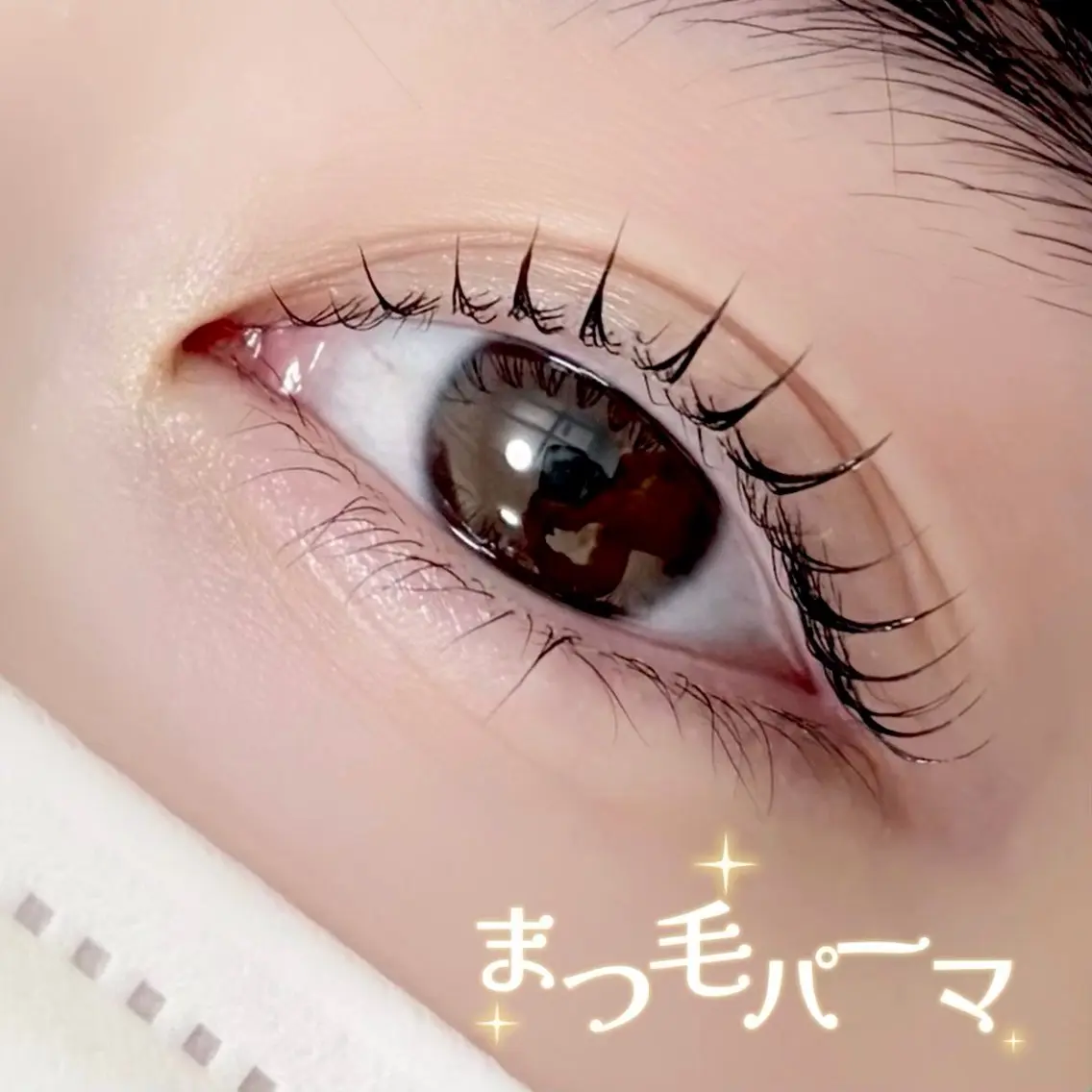 マツエク・マツパ 一重×まつ毛パーマ マツパ Bellem. 【ベルム】のマツエク・マツパデザイン