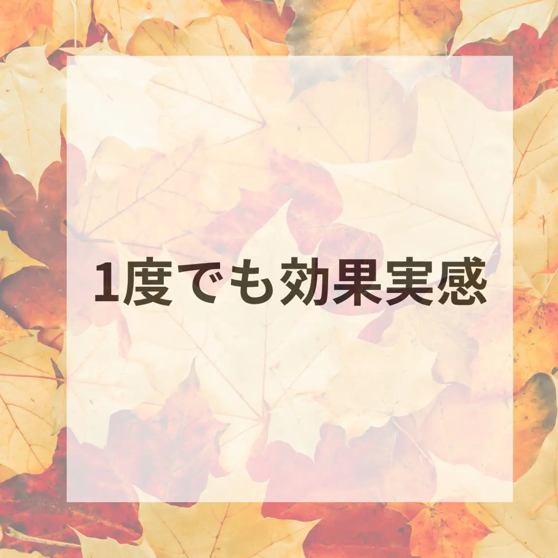 ホワイトニング ショップ津店のその他イメージ