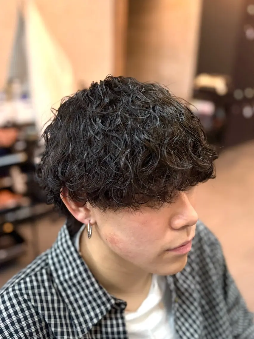 ショート パーマ プードルパーマ メンズサロン Aso bee 桑原 剛志のヘアスタイル