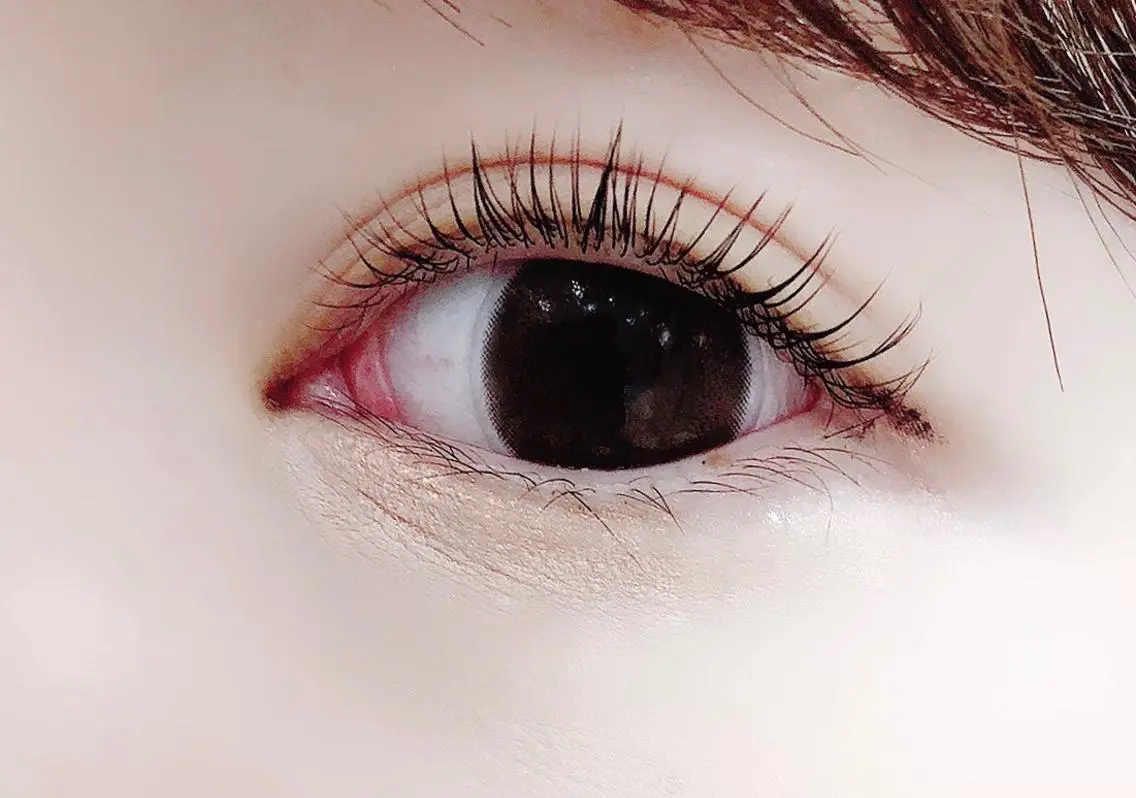 マツエク・マツパ 一重×まつ毛パーマ eyelash "Koa"🕊🤎のマツエク・マツパデザイン