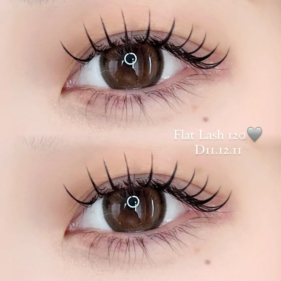 オフなし🩶フラットラッシュ🩶120本♡の写真