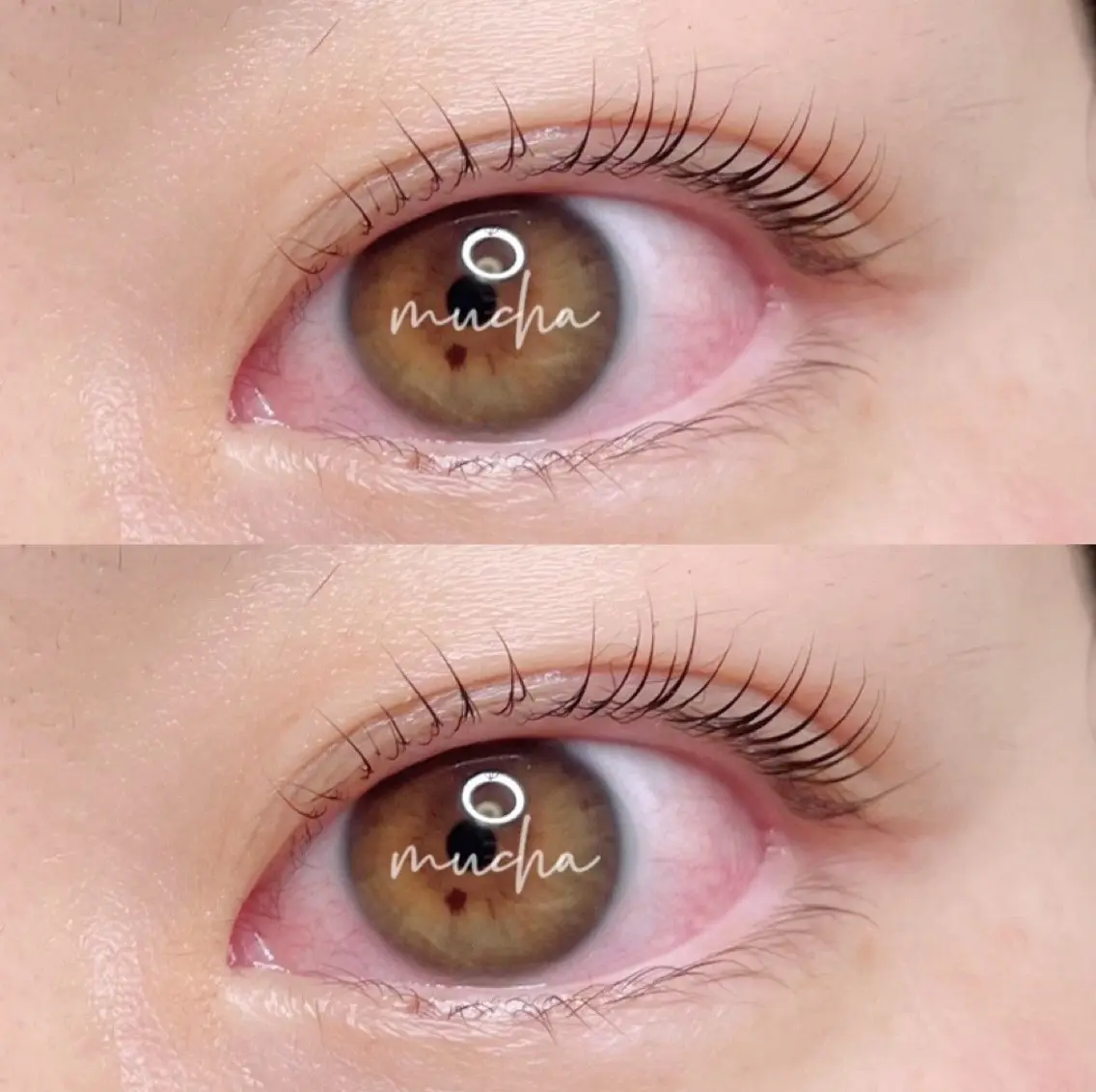 マツエク・マツパ eyelash muchaのマツエク・マツパデザイン