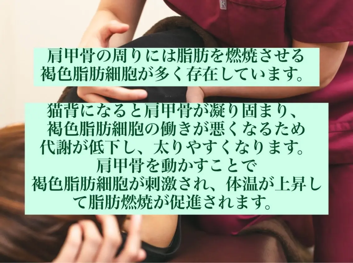 骨盤矯正ダイエット 結果出し＊痩身マシンのエステ・リラクイメージ