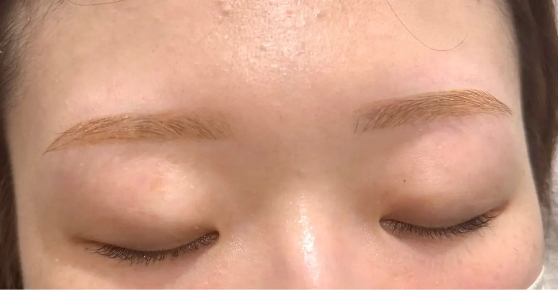 アイブロウ 眉カラー 眉毛ワックス脱毛 ワックス脱毛 眉カット その他(アイブロウ) Emiy BeautyLushのマツエク・マツパデザイン