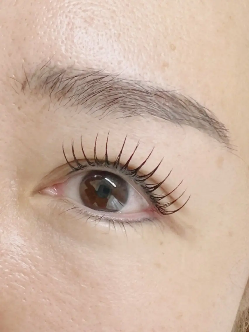 マツエク・マツパ アップワードラッシュ Eyelash Hauoliの眉毛・アイブロウイメージ