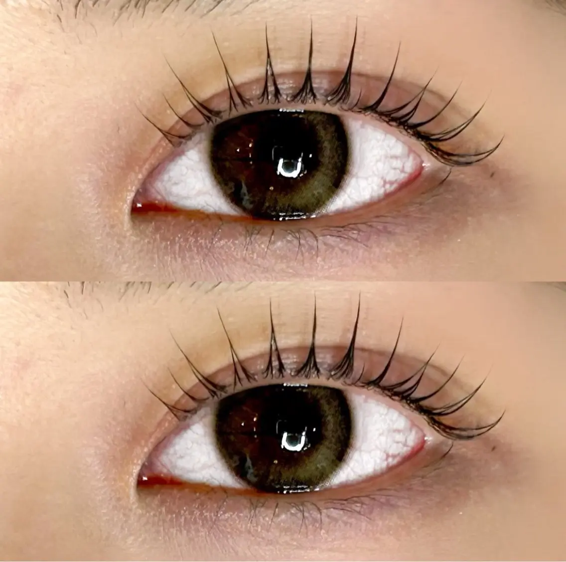 マツエク・マツパ マツパ Roy's lash ♡　AYAのマツエク・マツパデザイン