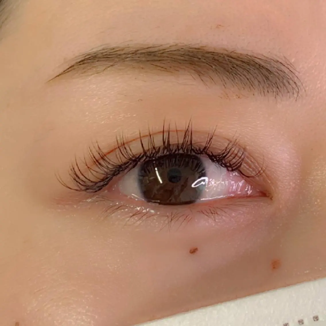 5月27日13時30分✨バインドロック80束9000円→5000円 ☆の写真