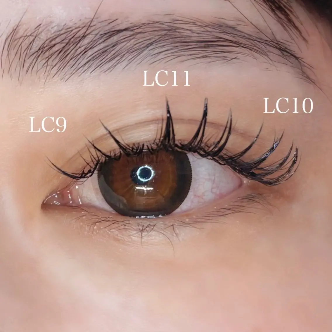 マツエク・マツパ Lカール 🍒LOARK🍒 eyelashオオノのマツエク・マツパデザイン