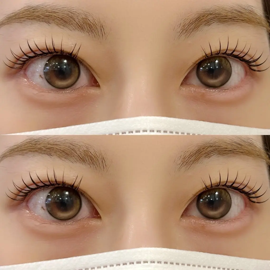【パリエク🪄】パリジェンヌ+フラット60本の写真