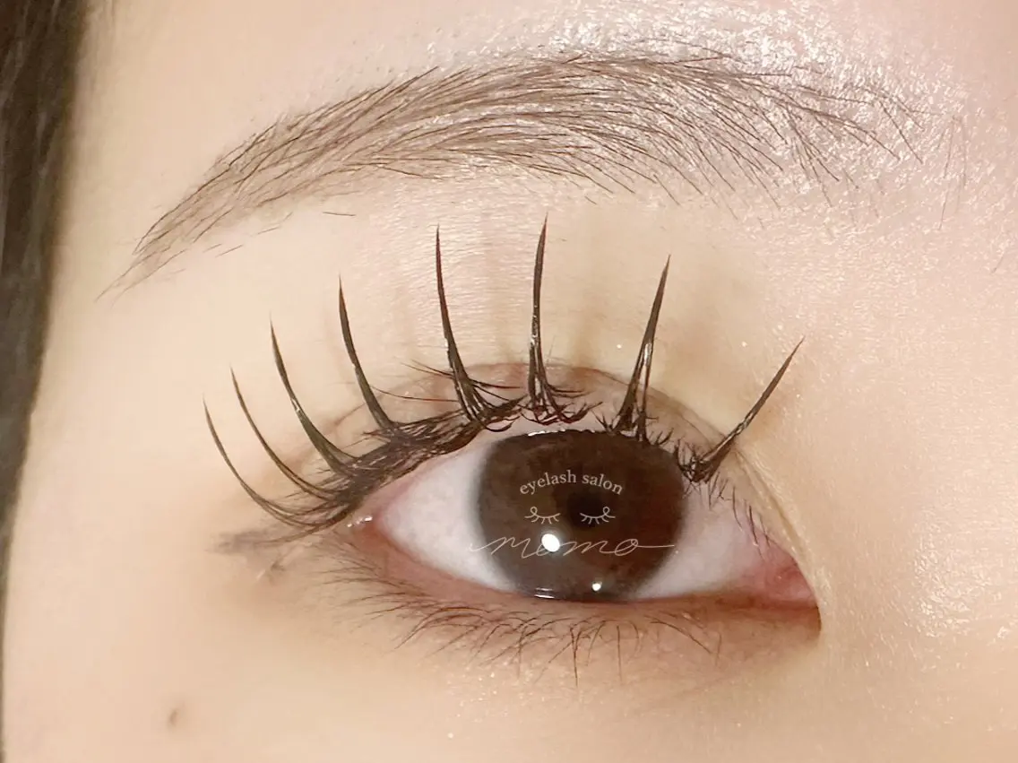 フラットラッシュ120本の写真