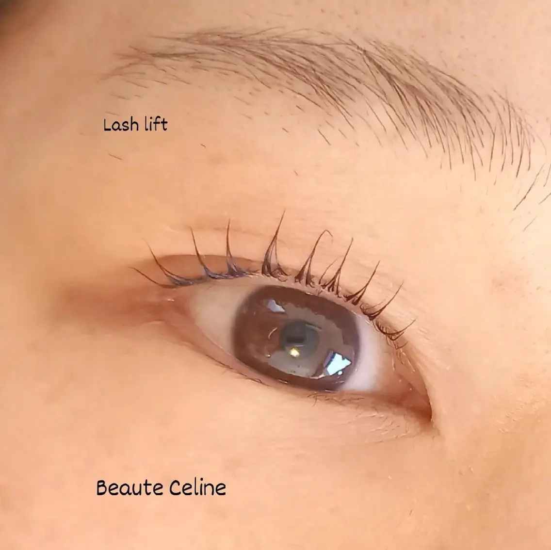 マツエク・マツパ マツパ LED✨beaute Celine🌛🌹のマツエク・マツパデザイン
