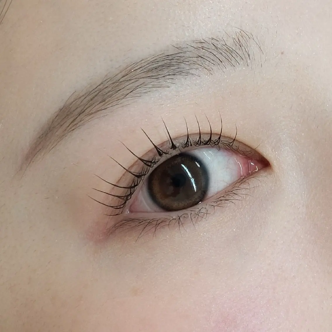 【まつ毛と眉毛セット】HBL+まつ毛パーマの写真