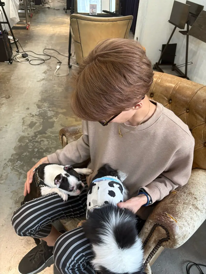 ショート カラーモデル　広島市 legare凜🌻✨のヘアスタイル
