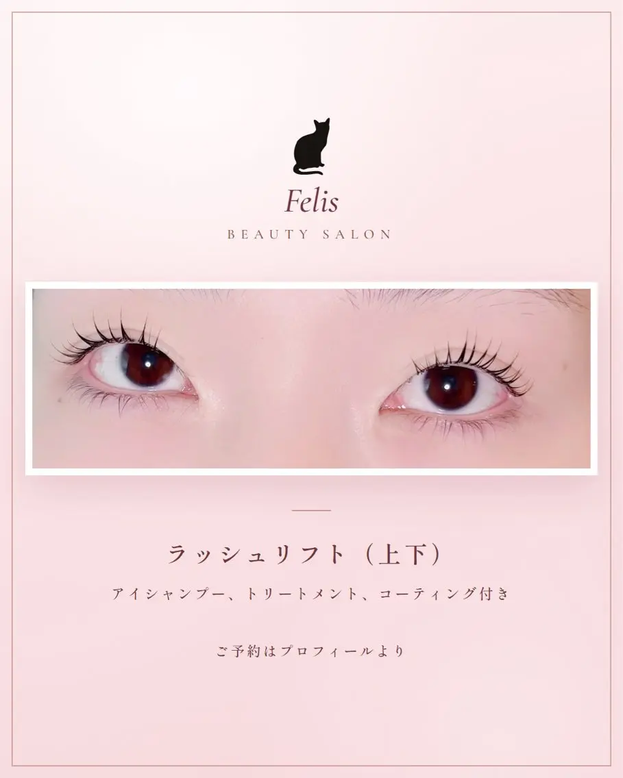🐈‍⬛ 上下ラッシュリフト(アイシャンプー、TR、CT付き)の写真