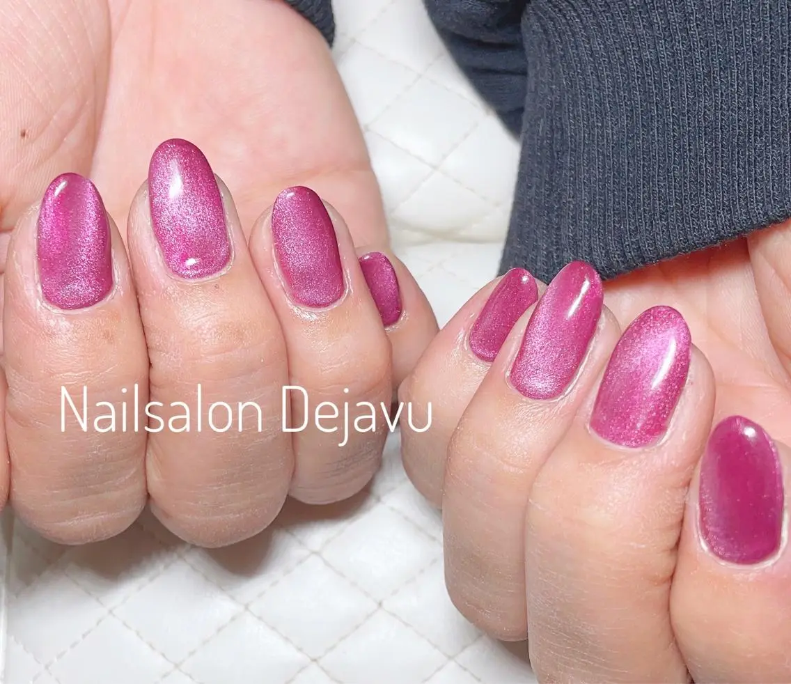 ネイル アートネイル ラメ(グリッター) マグネットネイル ワンカラーネイル ハンドネイル Nail salon Dejavu 🌿のネイルデザイン