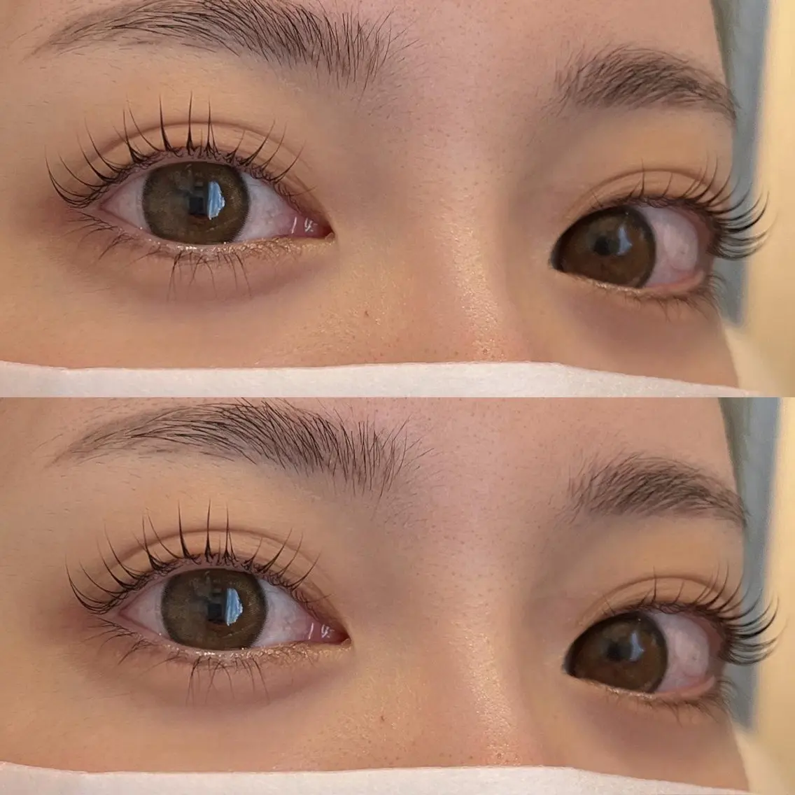 平日限定💫お問い合わせ限定🙇まつげパーマの写真