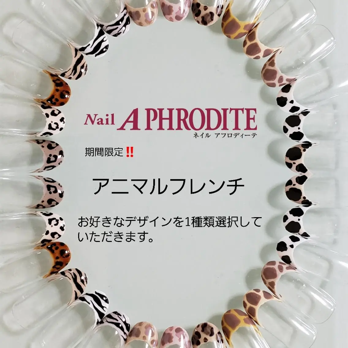 ネイル クリアネイル ジェルネイル ソフトジェル ハンドネイル Nail Aphroditeのネイルデザイン