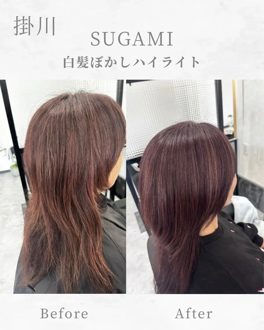 セミロング ハイライト 髪質改善 レイヤーカット 縮毛矯正 酸性ストレート ヘアカラー SUGAMI ✴︎ Hikariのヘアスタイル